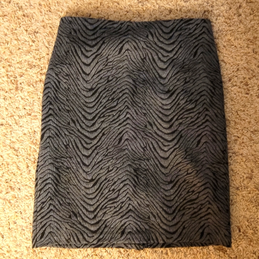 Womens skirt, EUC Fall must have